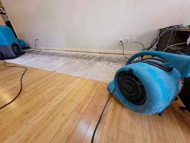 Professional Ceiling Water Damage Repair technician working in Exeter, ME